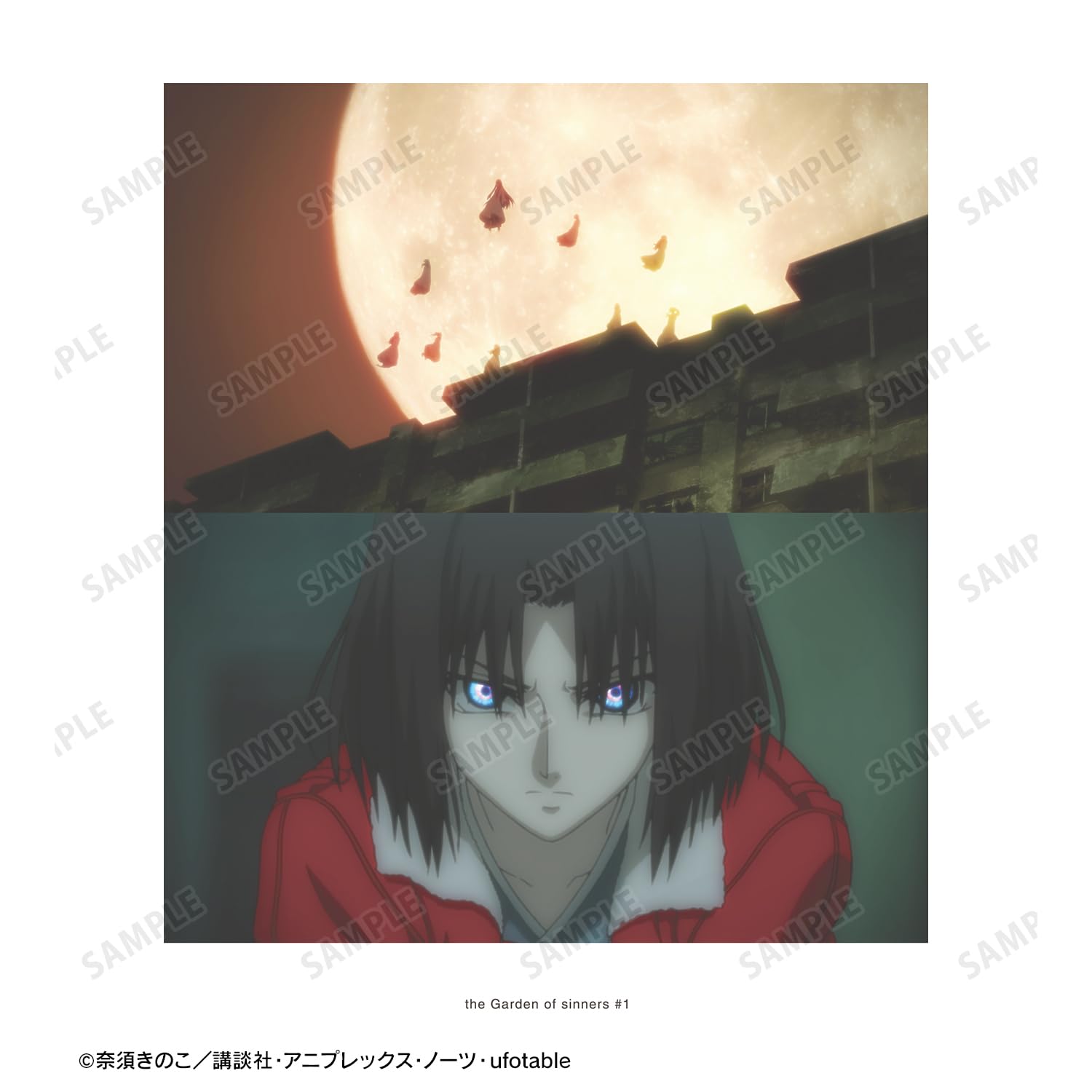 Amazon.co.jp: 劇場版「空の境界」 俯瞰風景 シーンバックプリント